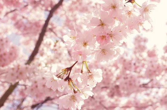 男人霸氣成熟網名