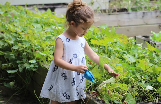 以出生月份為寶寶取名,個(gè)個(gè)時(shí)尚好聽(tīng)有內(nèi)涵!