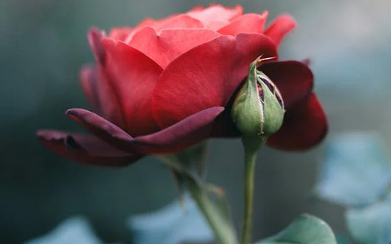 公司好聽又聚財的名字