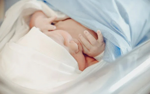 2025女孩起名，蛇年女孩子名字取名大全