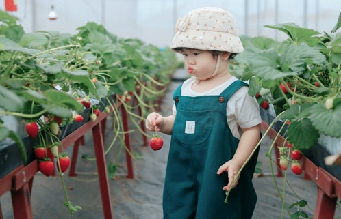 倪姓起名丨倪姓女孩有氣質的名字,朗朗上口