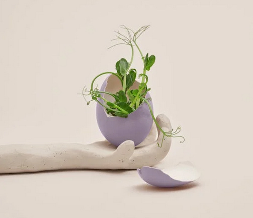 網名 | 簡單大方的女生網名