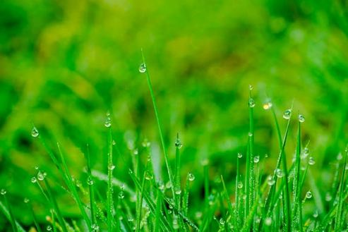 聽了就忘不掉!有記憶點(diǎn)的店名推薦