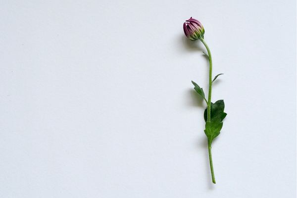 無畏契約游戲id取名鬼才，哪一個你敢用？