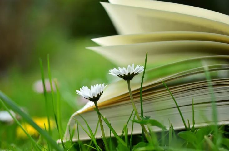 FPS游戲ID取名鬼才，這波名字太狂太欠打