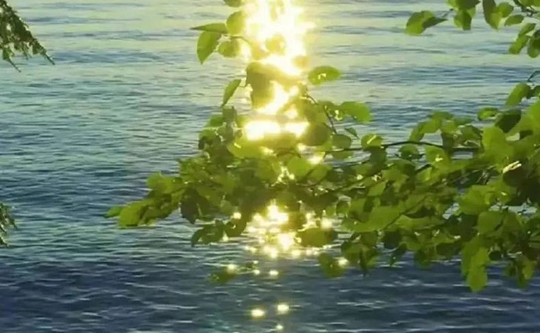 簡單好記的教育咨詢公司名字（分享60個(gè)）