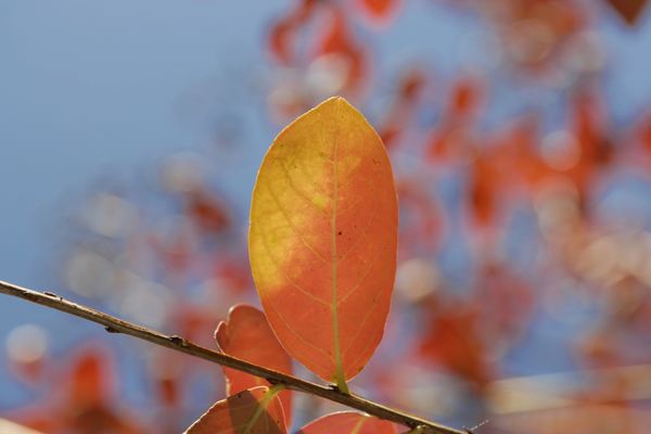 2025年10月18日出生寶寶起名,韻律十足