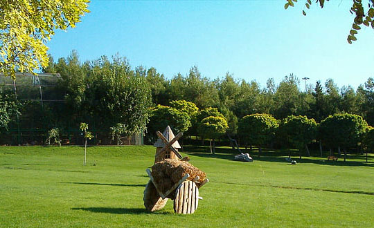 父母姓氏結合取名大全