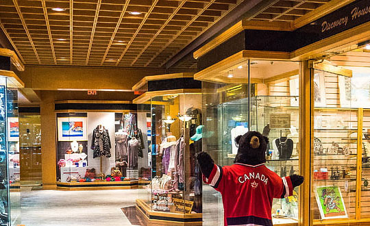 屬兔人取名禁忌