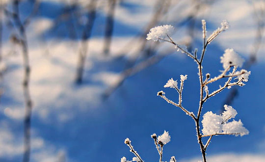 周易取名最大誤區(qū)：缺什么就補(bǔ)什么