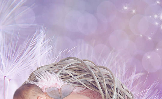 姓名學--周易名句取名大全