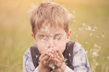 1628996528155398.jpg 1628996528155398.jpg