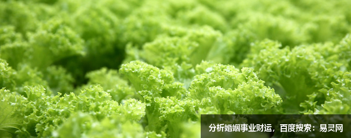 互聯(lián)網(wǎng)公司創(chuàng)意名字大全,獨(dú)特好聽?wèi)?yīng)有盡有 互聯(lián)網(wǎng)公司創(chuàng)意名字大全,獨(dú)特好聽?wèi)?yīng)有盡有